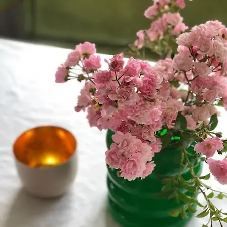 130qm-haus-terasse-grosser Garten-ruhig 度假居 诗道芬·因·布赖施高